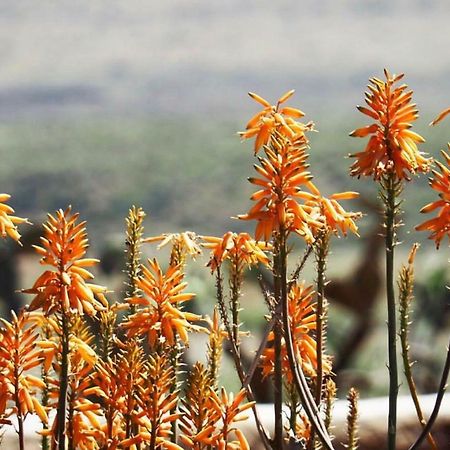Cortijo El Paraiso Los Escullos Exterior foto